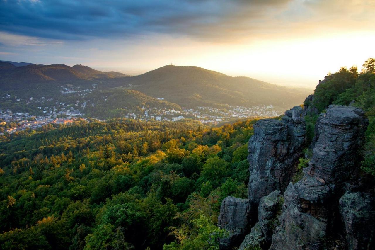 Eckberg Apartment Near City Centre & Nature Baden-Baden Ngoại thất bức ảnh